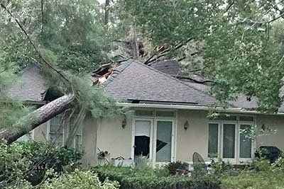 Tree fallen on a house, damaging the roof and windows.