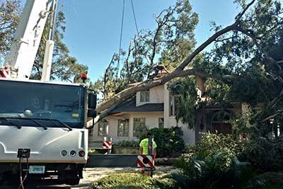 Crane removing tree from roof of a house; two workers in yellow vests supervise.