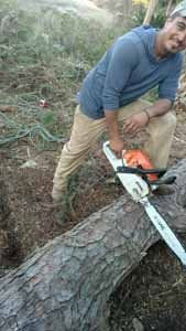 Man with a chainsaw leaning on a log, smiling, in an outdoor setting.