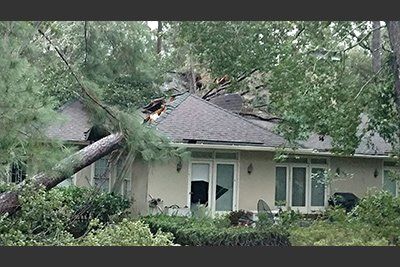 A tree has fallen on a house, damaging the roof and windows.