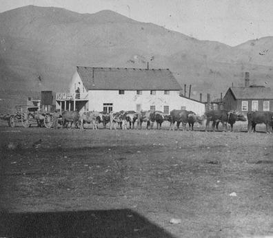 OX CART HAULING ORE, BELLEVILLE, NEVADA
