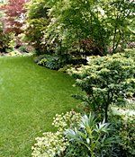maintained lawn care maintained lawn care