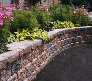 A stone wall with flowers and plants on it