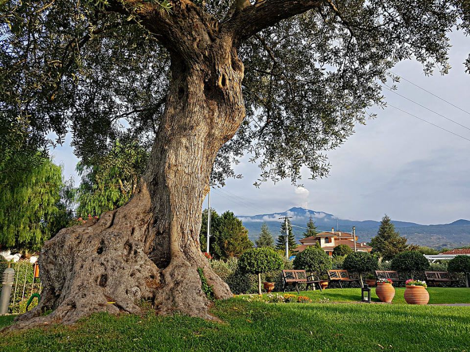area esterna del ristorante