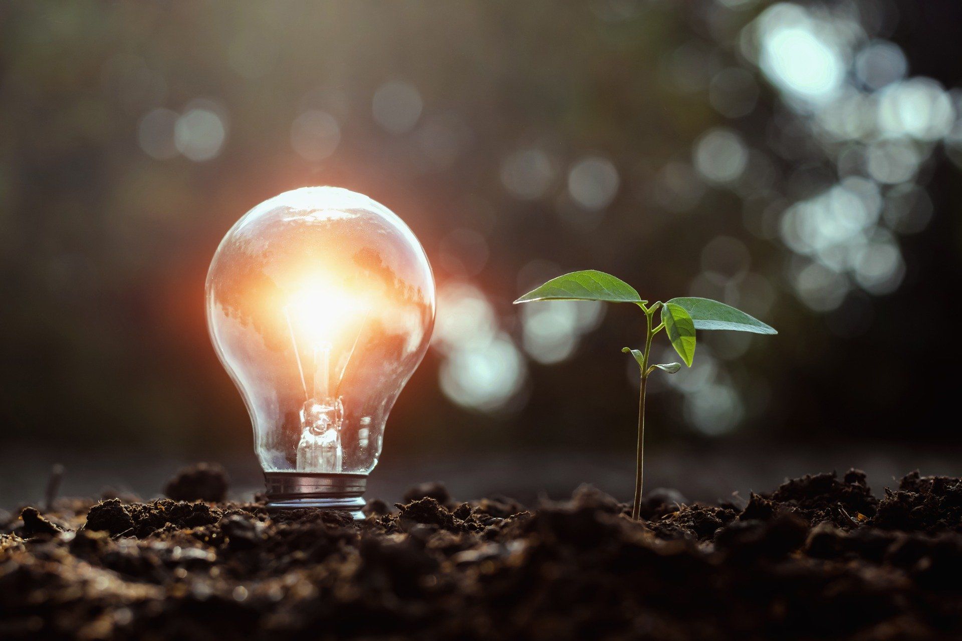 ENERGIA RINNOVABILE A MONZA