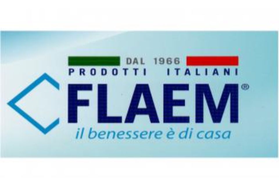 logo FLAEM