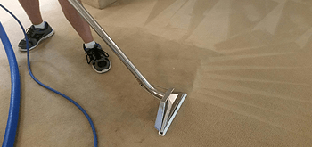 Carpet Vacuuming Carpet Vacuuming