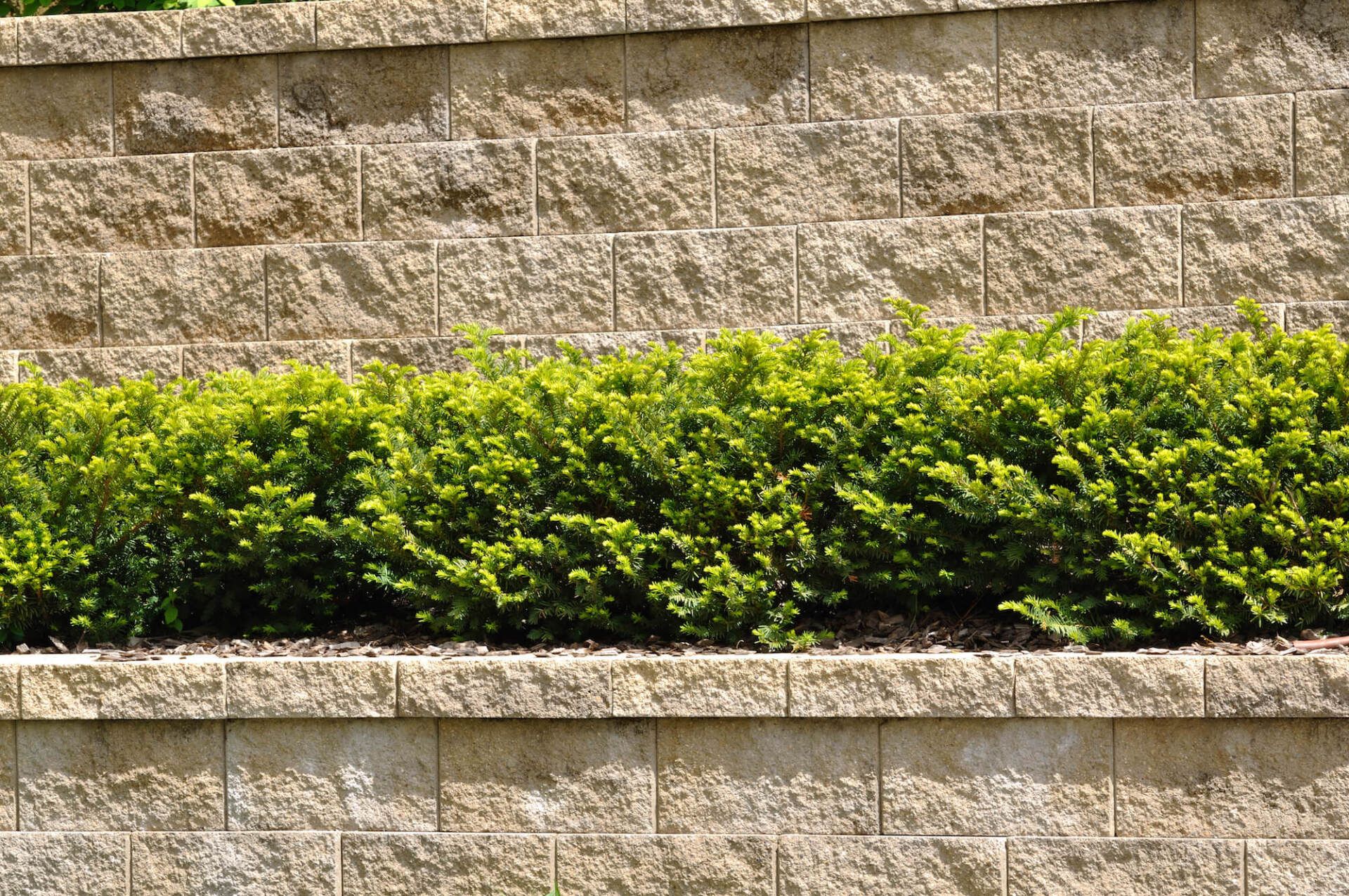 Retaining Wall
