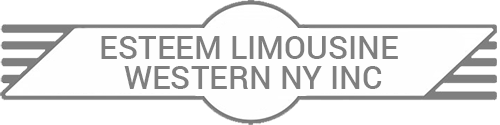 Esteem Limousine Logo