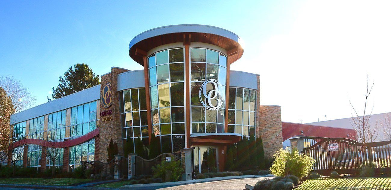 Organo Gold office renovation and build