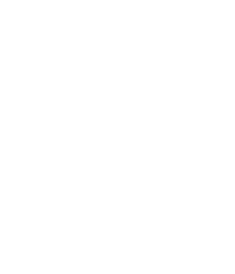 Realtor