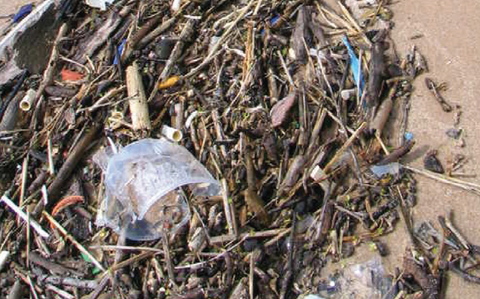 Hypodermic Needles Washed Up On Beaches Hypodermic Needles Washed Up On Beaches