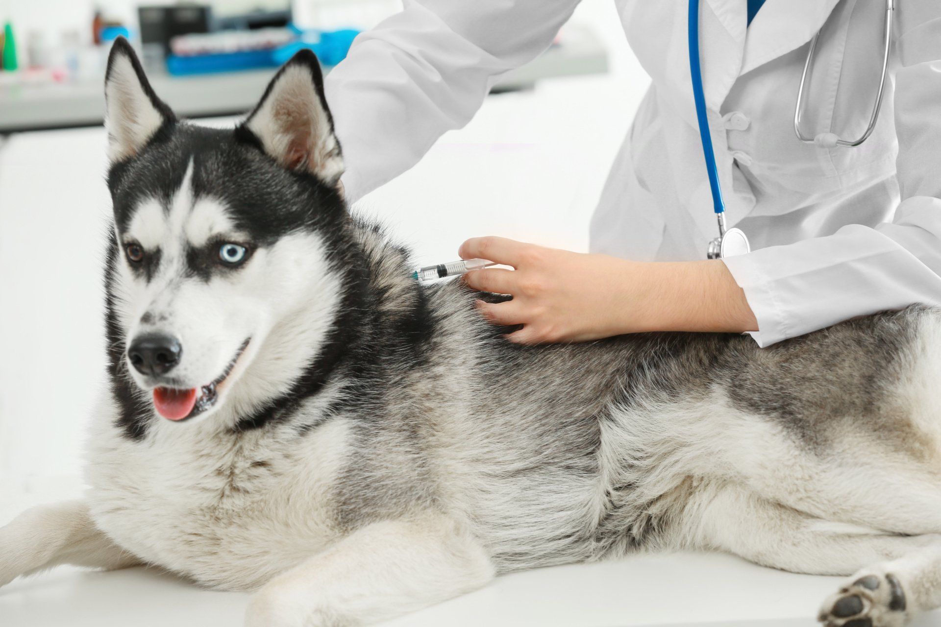 Every Animal Clinic, Animal Hospital, Pound, Euthanize Facility needs the Sharps Terminator®