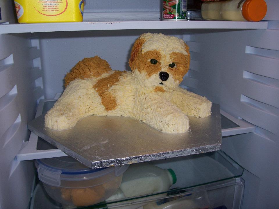 dog care services