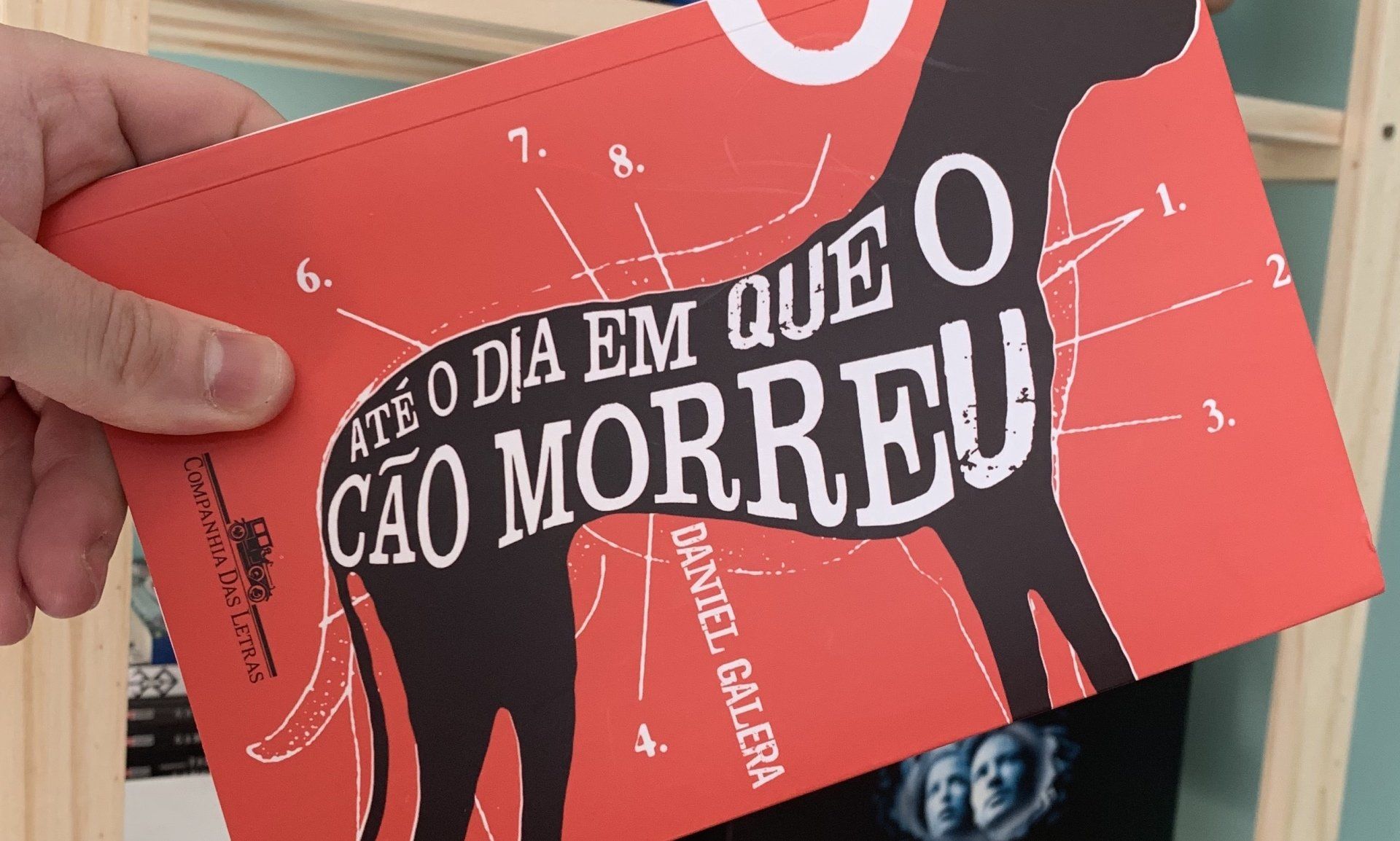 livro-ate-o-dia-em-que-o-cao-morreu-blog-bingo