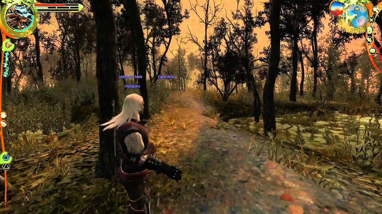 the-witcher