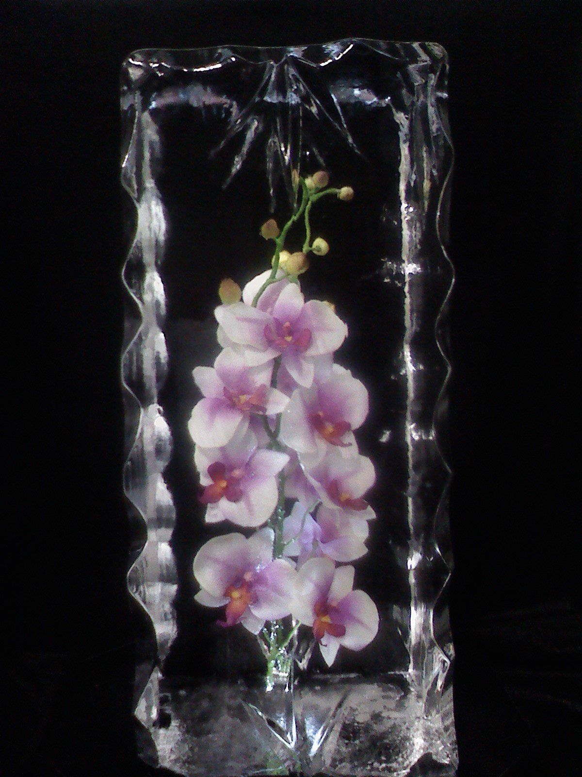 A block of ice with purple flowers in it