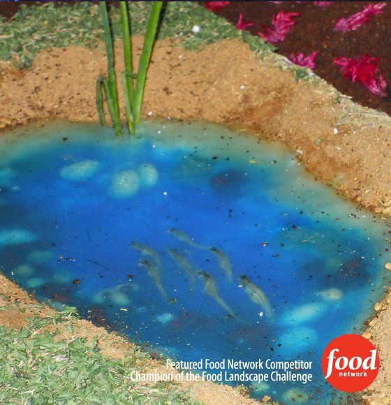 A picture of a pond with a food network logo on it