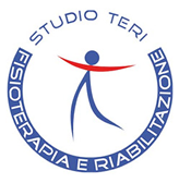 STUDIO TERI - LOGO