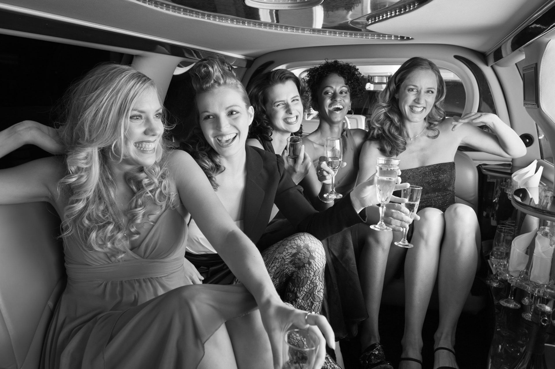 Wine Tour / Girls Night Limo Transportation Service