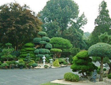 Japanes Garden Design - Construction in Silver Spring, MD Japanes Garden Design - Construction in Silver Spring, MD