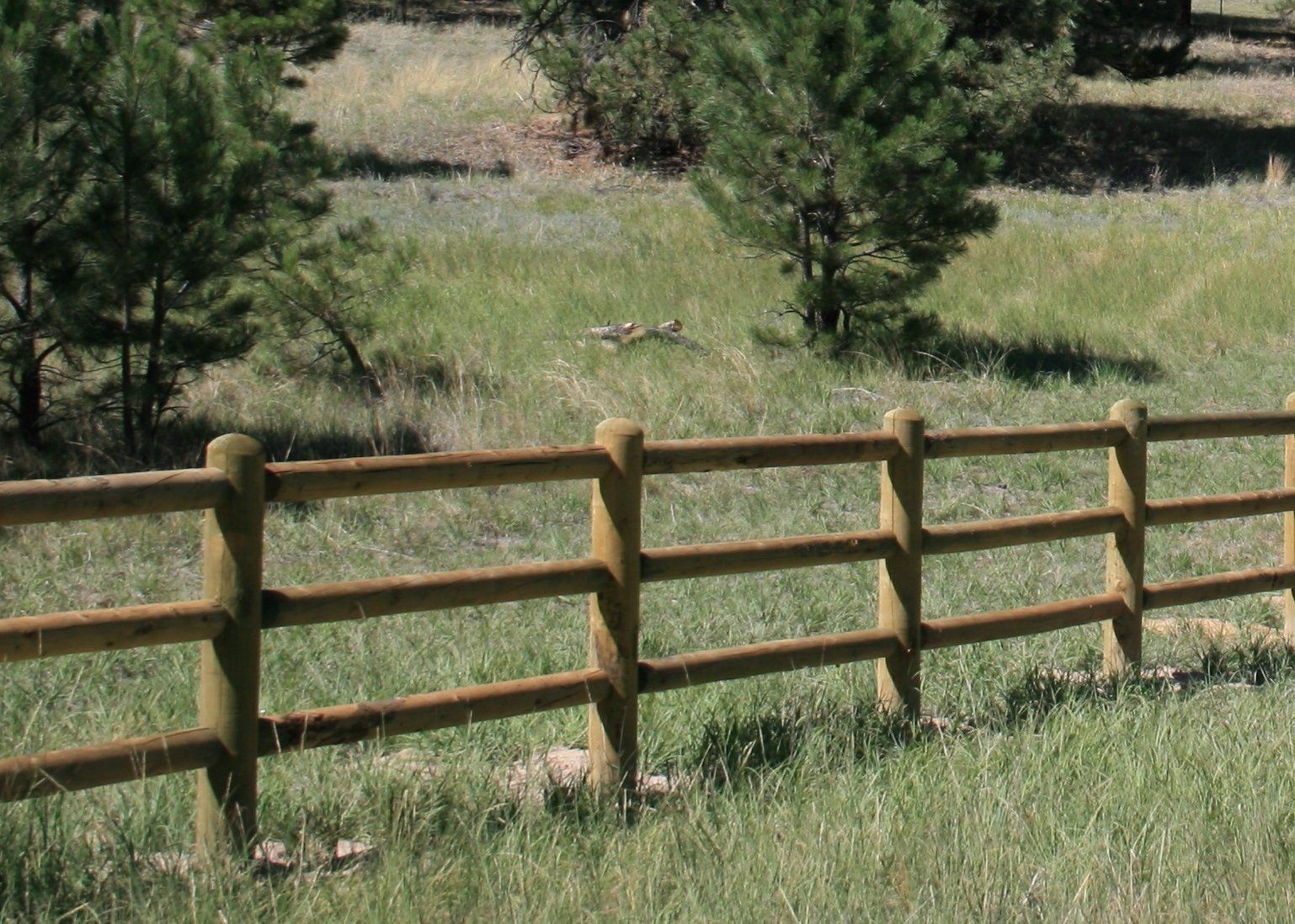Wood Posts and Fence — Elizabeth, CO — Estate Fence Supply Wood Posts and Fence — Elizabeth, CO — Estate Fence Supply