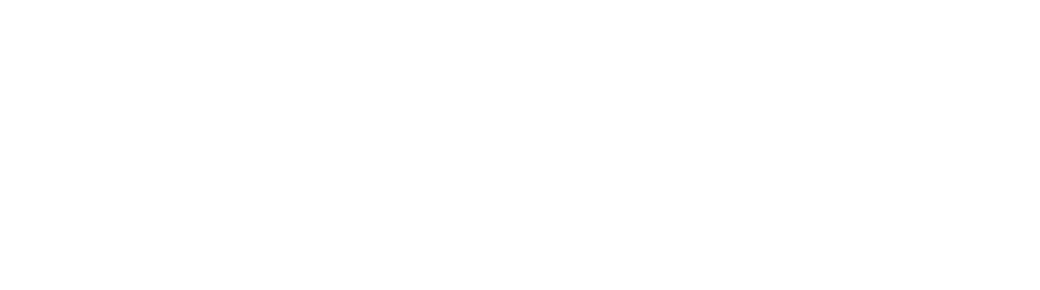 Netcor Transports