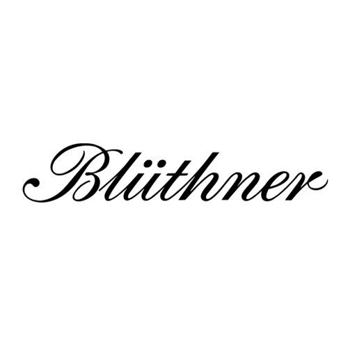 Un logo in bianco e nero per Blithner su uno sfondo bianco.