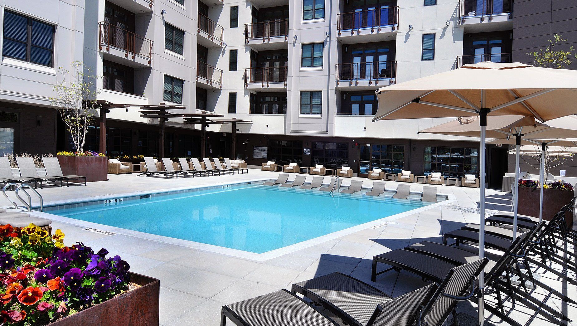 Resort Style Swimming Pool with Poolside Flowers and Chaise at North and Line