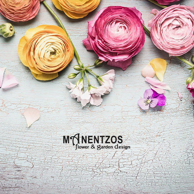 Manentzos Garden Centre