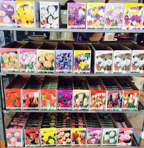 packets of seed on shelf