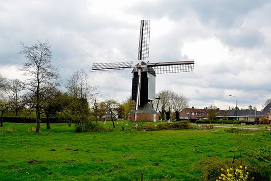 Een rustieke houten windmolen met vier kruisvormige wieken staat in een grasveld onder een bewolkte hemel, vlakbij woonhuizen.