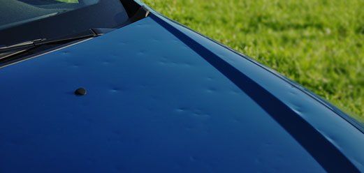 Close-up of a blue car hood beside green grass, with a small insect on the surface