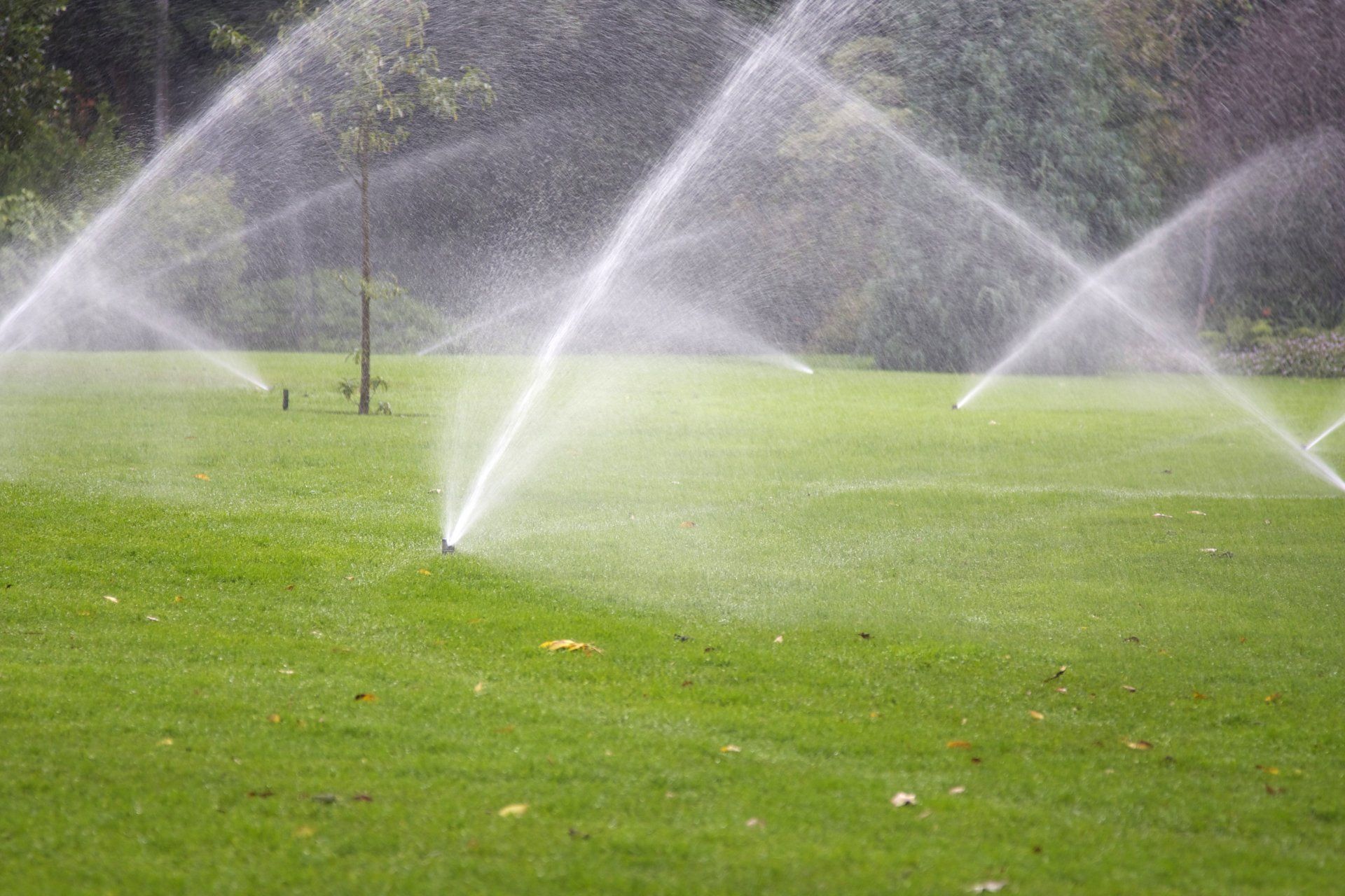 Irrigation ― West Melbourne ― Green Thumb Landscaping Inc.st Melbourne ― Green Thumb Landscaping Inc.