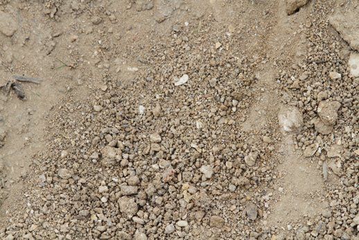 Fill Dirt ― West Melbourne ― Green Thumb Landscaping Inc.