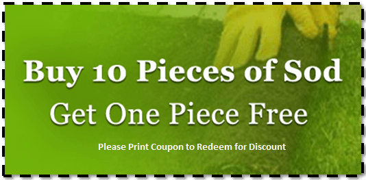 Coupon ― West Melbourne ― Green Thumb Landscaping Inc. Coupon ― West Melbourne ― Green Thumb Landscaping Inc.