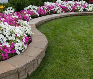 White and Pink Flowers — Landscaping Services in West Lawn, PA White and Pink Flowers — Landscaping Services in West Lawn, PA