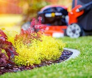 Green and Red Plant — Landscaping Services in West Lawn, PA Green and Red Plant — Landscaping Services in West Lawn, PA