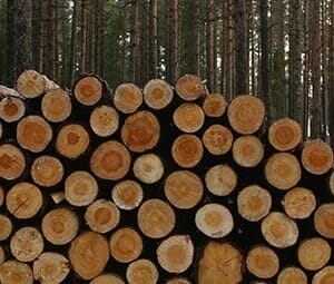 Stack of Firewoods — Landscaping Services in West Lawn, PA Stack of Firewoods — Landscaping Services in West Lawn, PA