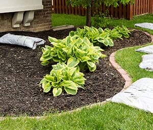 Mulching in the Garden — Landscaping Services in West Lawn, PA Mulching in the Garden — Landscaping Services in West Lawn, PA