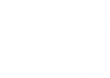 Wood Pest