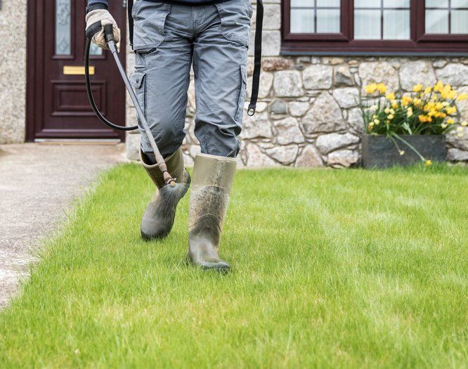 Yard Gertilizer — Gardene spraying weed killer in Laredo, TX