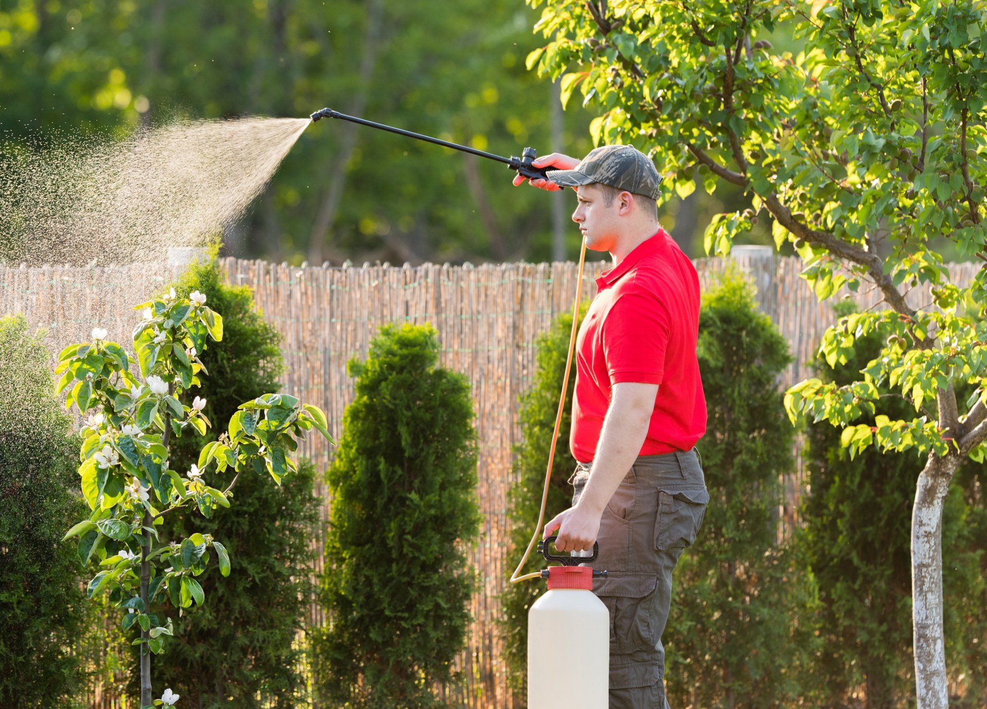 Termite Extermination — Spraying Pesticide in Laredo, TX Termite Extermination — Spraying Pesticide in Laredo, TX