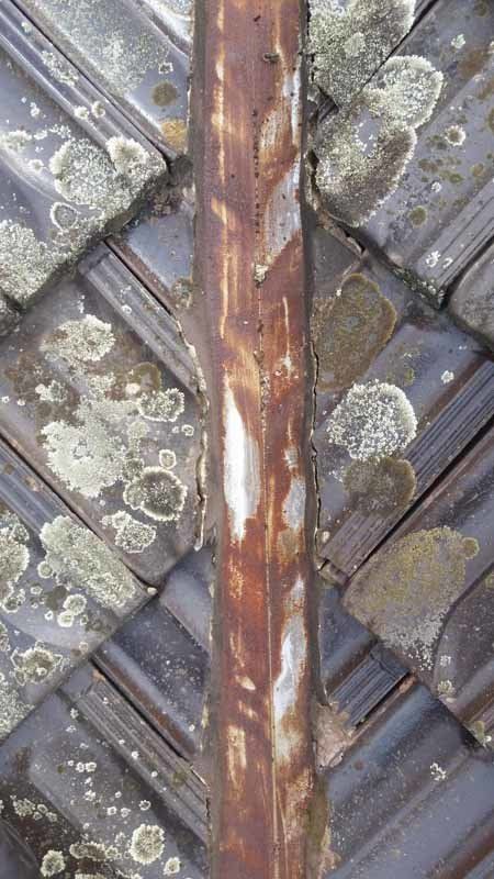 damaged roof