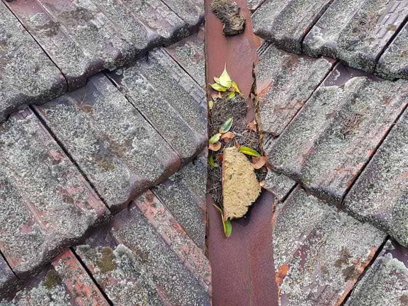 damaged roof