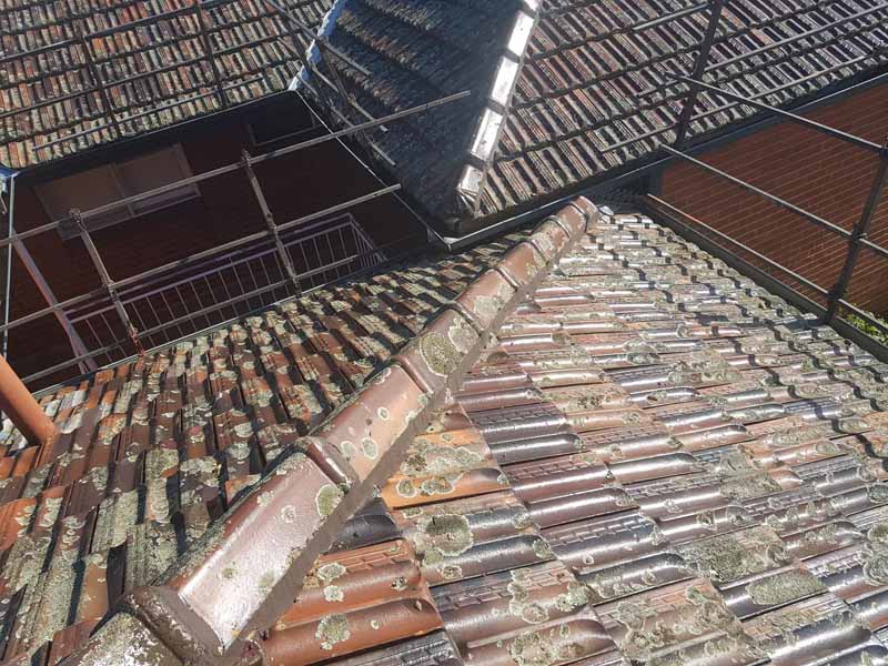 damaged and dirty roof