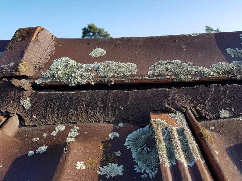 damaged roof