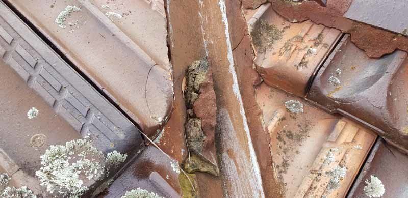 damaged roof