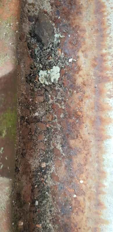 damaged roof
