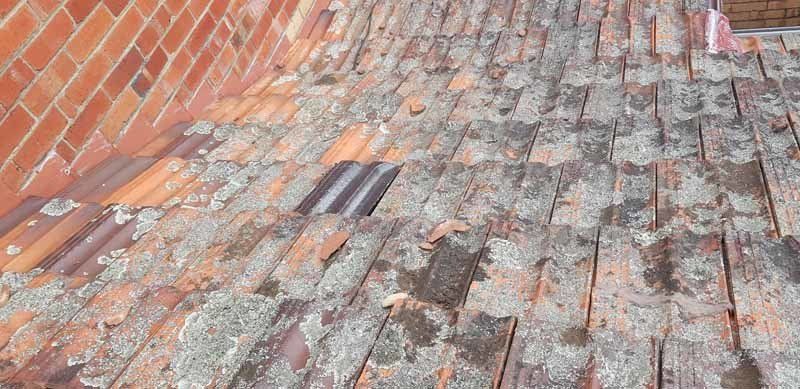 damaged and dirty roof